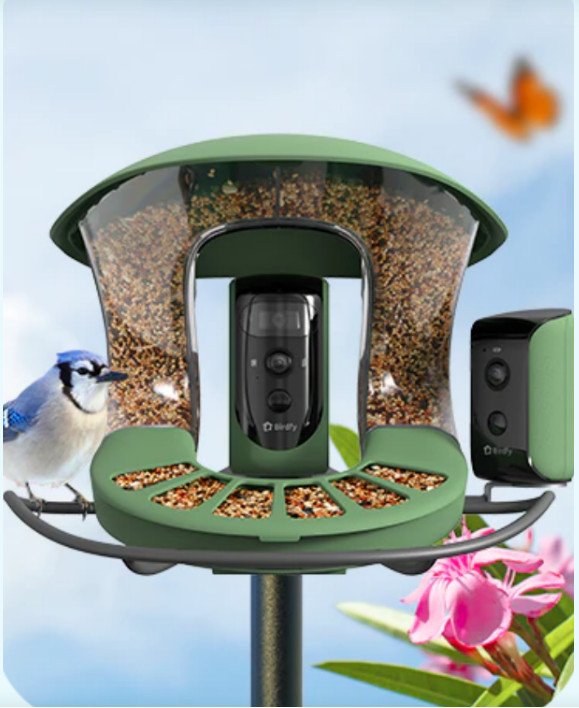 Bird feeder